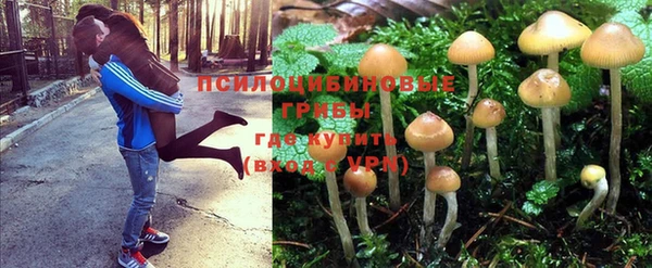 MDMA Корсаков