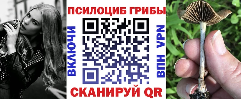 Купить закладки  Будённовск  Галлюциногенные грибы прущие грибы 
